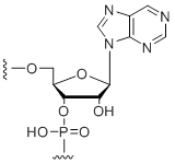 Unit Structure: Purine ribonucleoside